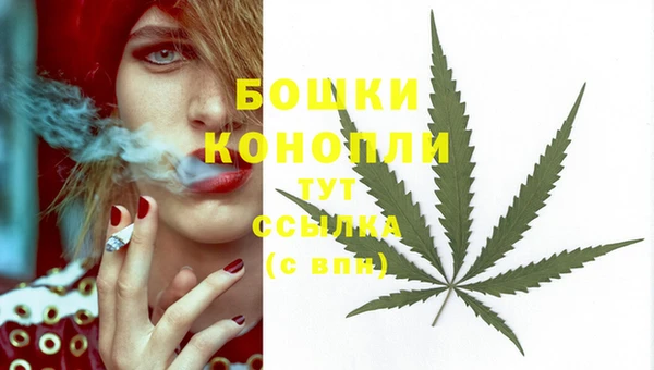 PSILOCYBIN Ростов