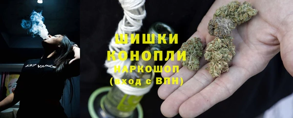 PSILOCYBIN Ростов