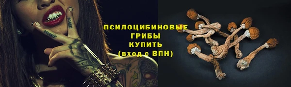 тгк Рославль