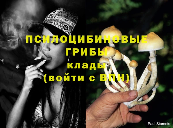 тгк Рославль