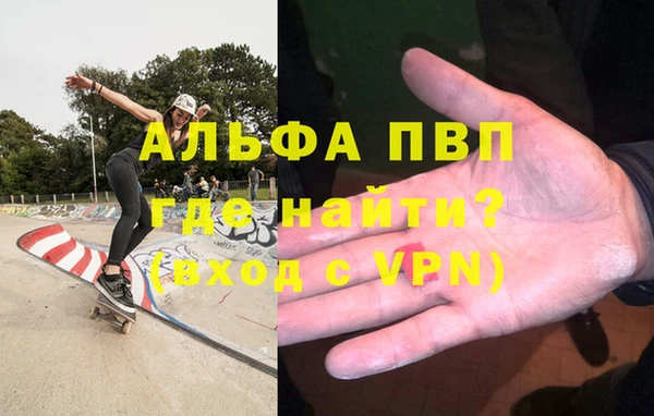 PSILOCYBIN Ростов